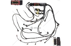 Elektrický svazek motoru RVI RVI 7421545827