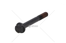 FLANGE SCREW DT 6.33065