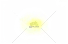 GABKA POLERSKA 75MM TWARDA C8546 4932430489