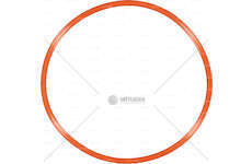 Gasket, cylinder head cover 8040.25 Victor Reinz