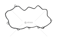 Gasket, cylinder head cover 8140.63.2585/S9W 700 - MASCOTT Mec-Diesel