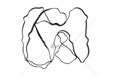 Gasket, cylinder head cover F3BE0681 - CURSOR 13 Mec-Diesel