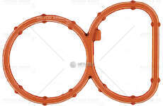 Gasket, intake manifold COLL.ASPIRAZIONE BMW COUPE' Victor Reinz