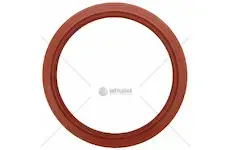 Gufero gp 140x170x15 mvq silikon | 97-4065s