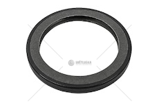 Gufero klikové hřídele 100x130x12 přední man tga od 03.2000, neoplan d2066lf 0126960_A