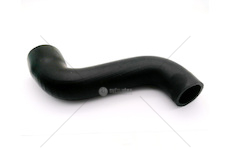 Hadice chladiče Avia A60/75 horní