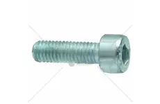 Horsch pluhový šroub m8x30 | 00370494