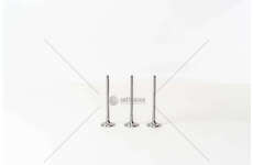 Inlet Valve 1.2 BZ HMZ/HNZ/HNP - 208/308 IN. Mec-Diesel