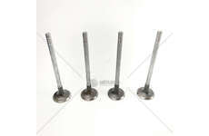 Inlet Valve 1.5 ZTDA/B - ZTJA/B/C - FOCUS IN Mec-Diesel