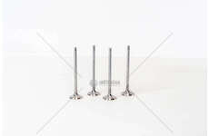 Inlet Valve 106 - SAXO 1.6I 16V TU5J4 IN Mec-Diesel