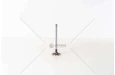 Inlet Valve 138B6 - REGATA/RITMO 1.7 D IN Mec-Diesel