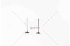 Inlet Valve 312 A2.00 0.9 TURBO MITO IN Mec-Diesel