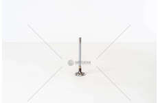 Inlet Valve 4HL/4HT/4HP/224DT - C5/C6/C8/S-MAX IN Mec-Diesel
