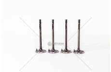 Inlet Valve 8040/8060.02/04 - D.100/103 IN Mec-Diesel