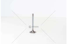 Inlet Valve 8040/8060.05/25/45 IN Iveco