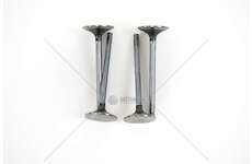 Inlet Valve 8140.63/8140.67F/8149.03 IN Mec-Diesel