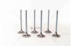 Inlet Valve 8210.22/42 COLL.10 IN Mec-Diesel