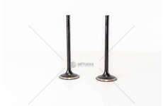 Inlet Valve 8210.22/42 - EUROSTAR/EUROTECH IN Mec-Diesel