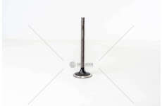 Inlet Valve 8280.22 - 190.42 IN Mec-Diesel