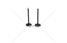 Inlet Valve 8340/8360 DIAM.115 IN Mec-Diesel