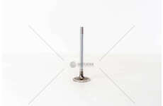 Inlet Valve 8360.46 IN Mec-Diesel