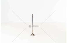 Inlet Valve 8460.21/41 - IN Iveco