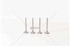 Inlet Valve A1 1.2 TFSI A3 CBZA IN Mec-Diesel