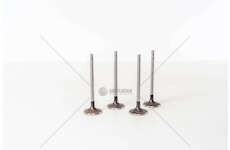 Inlet Valve A3/A4/Q5 AWA AXW BLX/R IN Mec-Diesel