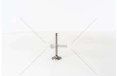 Inlet Valve A4 2.0 TdI Eng BPW IN Mec-Diesel