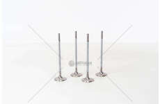 Inlet Valve Astra 1,6 16V I Z16XEP IN Mec-Diesel