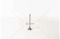 Inlet Valve ASTRA/KADETT 1600 D. IN Mec-Diesel