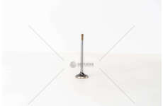 Inlet Valve B.M.W.324/524D IN Mec-Diesel