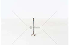 Inlet Valve BVN/CASB/CCMA - A4/Q5/TOUAREG IN Mec-Diesel