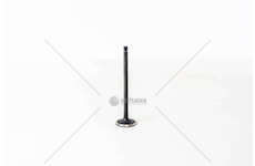 Inlet Valve CARNIVAL J3 2.9CRDI 4V 98> Mec-Diesel