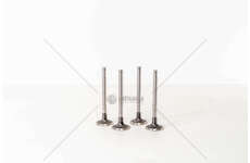 Inlet Valve CLIO/MEGANE/KANG./EXPR.L.111.6 - 45° IN Mec-Diesel