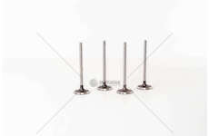 Inlet Valve CLIO/MEGANE/MICRA -K9K-1.5 DCI IN Mec-Diesel