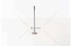 Inlet Valve D 12 A - EURO 2 - FH12 IN 2 GOLE Mec-Diesel