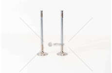 Inlet Valve D 2066LF/LOH/LUH/D 2676LF E3/4 D.120 IN Mec-Diesel