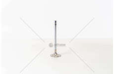 Inlet Valve D 2876 LF07/11/21/22 - 1 GOLA/ 24 VALV/IN Mec-Diesel