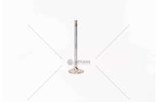 Inlet Valve D 2876 LF07/11/21/22 - 3 GOLE/ 24 VALV/IN Mec-Diesel