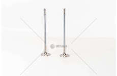 Inlet Valve D11C330/370 - FM/FMX IN Mec-Diesel