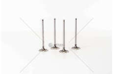 Inlet Valve D7F 700/710/720 - CLIO/KANGOO 1.2 IN Mec-Diesel