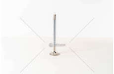 Inlet Valve DC 11/12/16 - P,G,R,T/4-SERIES 20° 1 GOLA IN Mec-Diesel