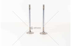 Inlet Valve DC13.05/06/07-DC16.09-P,G,R,T-SERIE4 GOLE IN Mec-Diesel