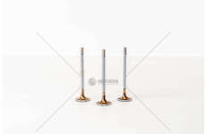 Inlet Valve DOBLO 1.4 16V 198A4.000 GPL IN Mec-Diesel