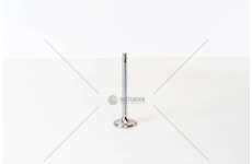 Inlet Valve DUCATO-PUNTO-TIPO-145 1.9 TD IN Mec-Diesel