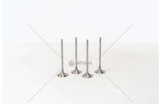 Inlet Valve EP3/EP3C/N12 - 207/208/308 1.4 16V IN Mec-Diesel