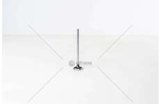 Inlet Valve F1AE0481 - DAILY 35C10/S10 - IN Iveco