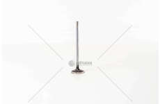 Inlet Valve F1CGL411C - DAILY 3.0 E6 BI-TURBO IN Iveco