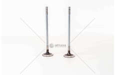 Inlet Valve F2BE0681/3681 - CURSOR 8 - STRALIS IN Mec-Diesel